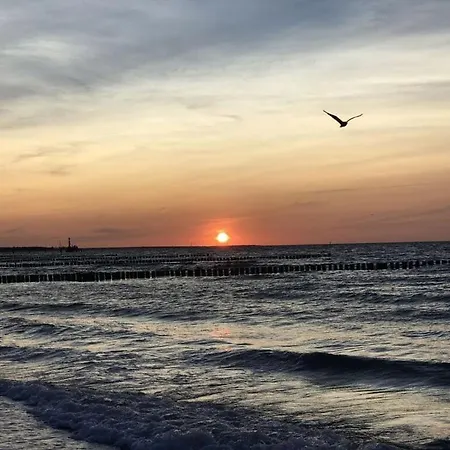 Pebble * Ostseeheilbad Zingst